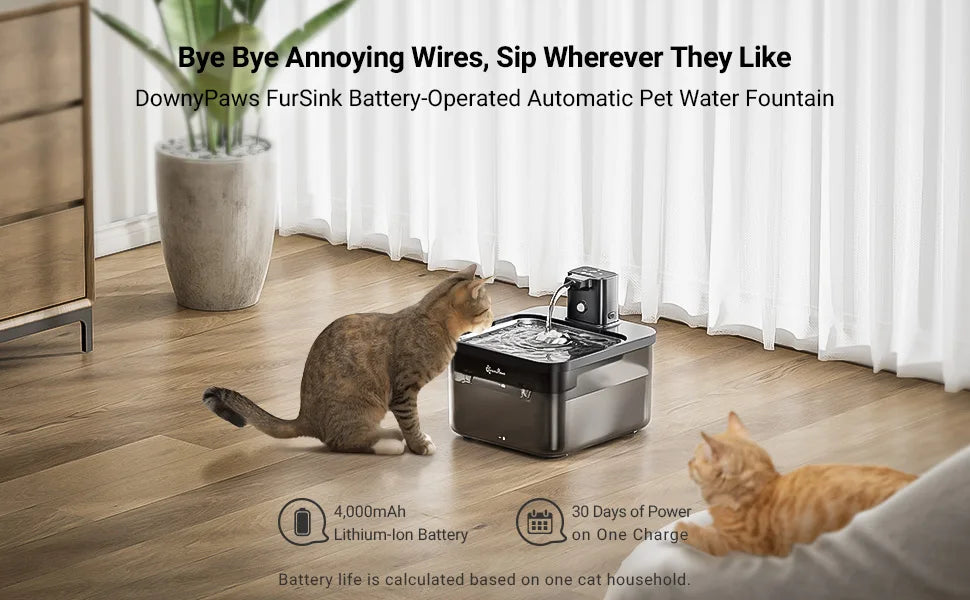 Fontaine Inox Chat Sans Fil — 2,5L Batterie 4000mAh | Acier Inoxydable