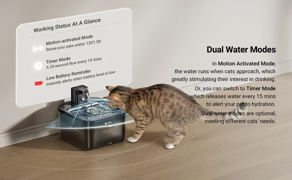 Fontaine Inox Chat Sans Fil — 2,5L Batterie 4000mAh | Acier Inoxydable