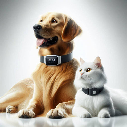 Collier GPS Chien Premium — Chien et chat | Luméra